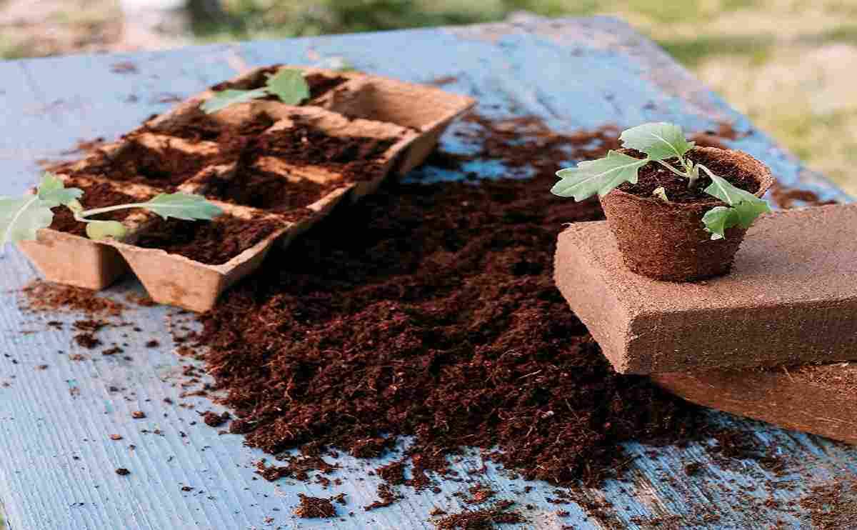 5kg Cocopeat Block for Home Gardening