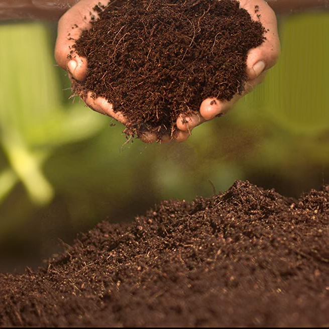 1kg Cocopeat Powder for Home Gardening