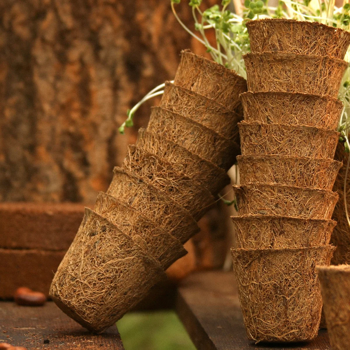 Coir Planters and Coir Pots for Home Gardening
