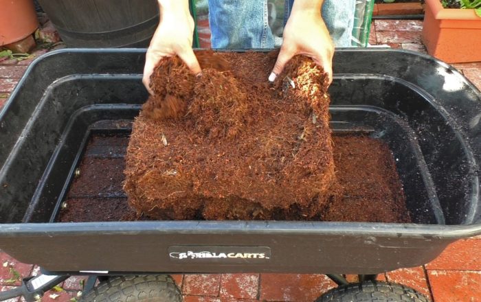 Cocopeat blocks and growing media products